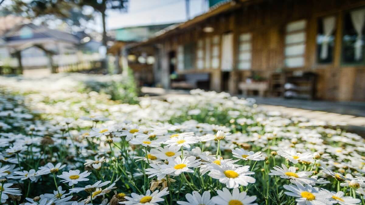 不知祖先無償贈與土地真偽，繼承人委台北律師提告拆屋還地！